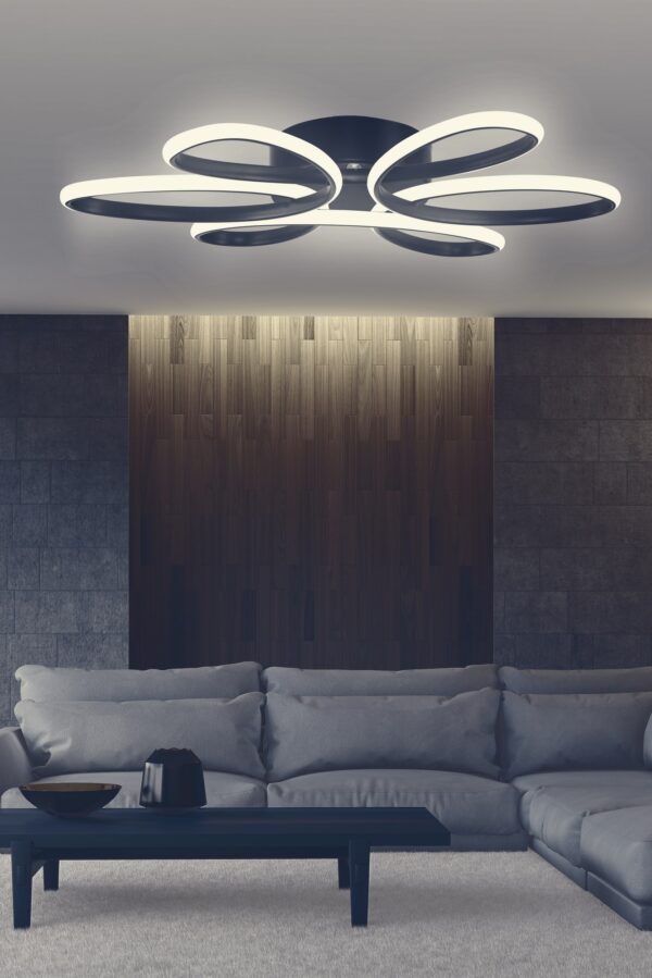 Luster ZapLuxe L80 - Image 2